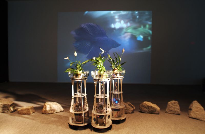 Файл:AugmentedFishRealityArsElectronica.jpg