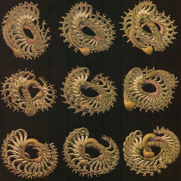 Файл:Mutator1Software1987Q2No2.jpeg
